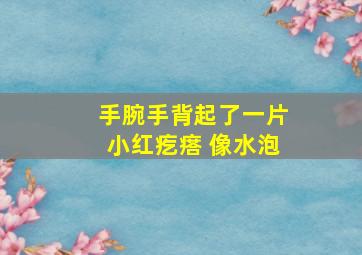 手腕手背起了一片小红疙瘩 像水泡